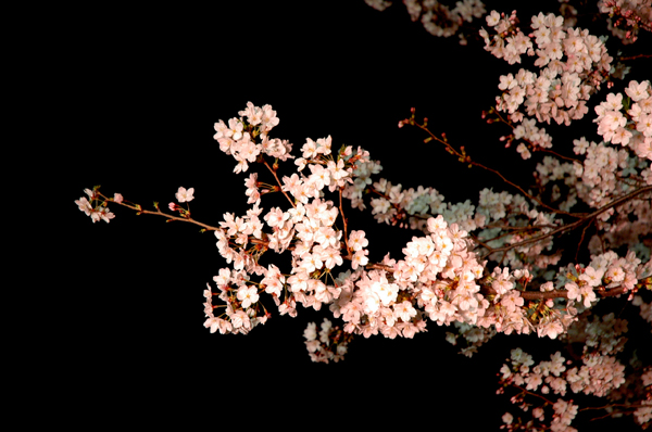 DSC_0055